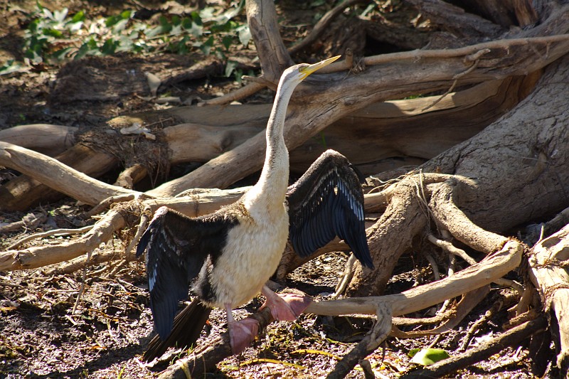 2009-11-06 22-01-07_4.jpg - es ist hier wirklich heiß - über 30°